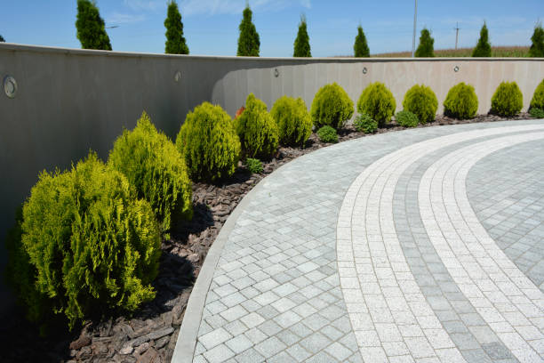 Best Custom Driveway Pavers  in Oli, PA